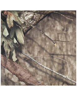 The Mossy Oak Nativ Living Backless Bar Stool Home -Linon 3050297342 RLLD 4